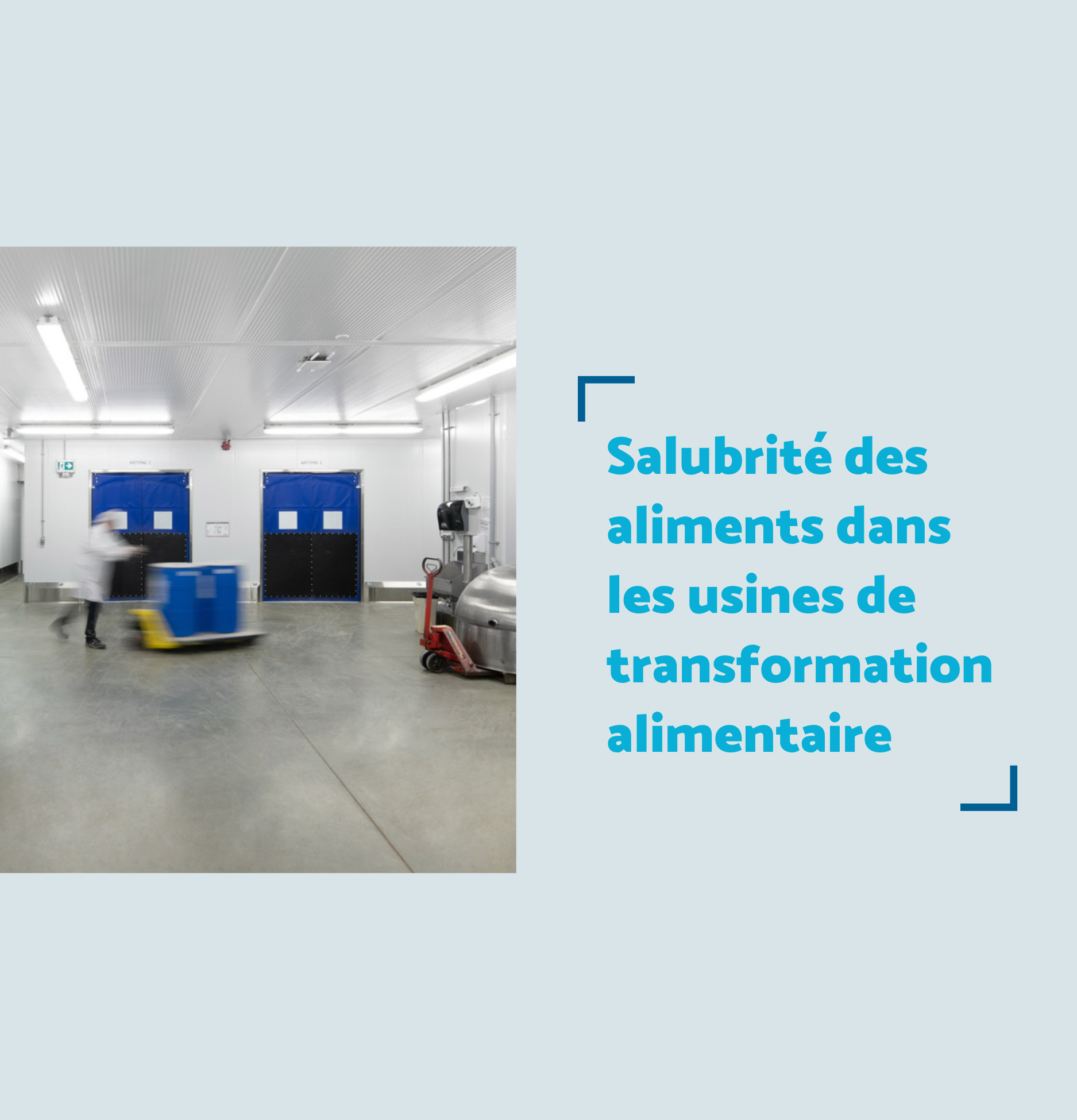 La salubrité des aliments dans les usines de transformation alimentaire et rôle des panneaux métalliques isolants pour les murs et les plafonds intérieurs.